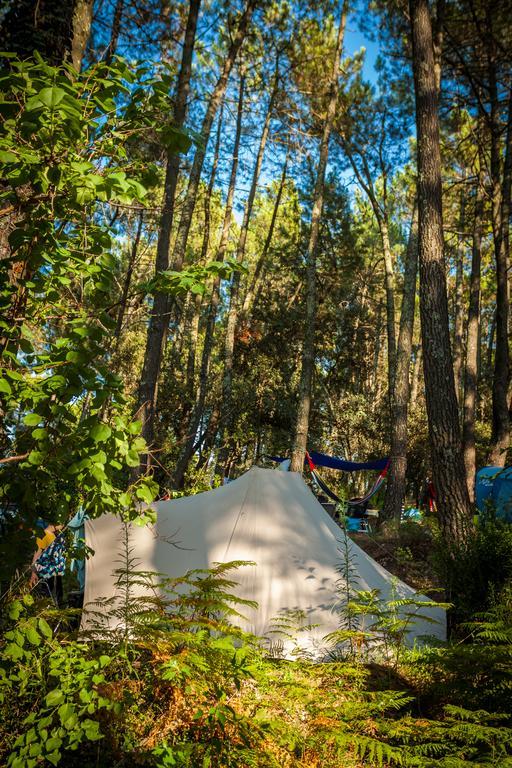 Camping La Sousta**** Remoulins Eksteriør bilde